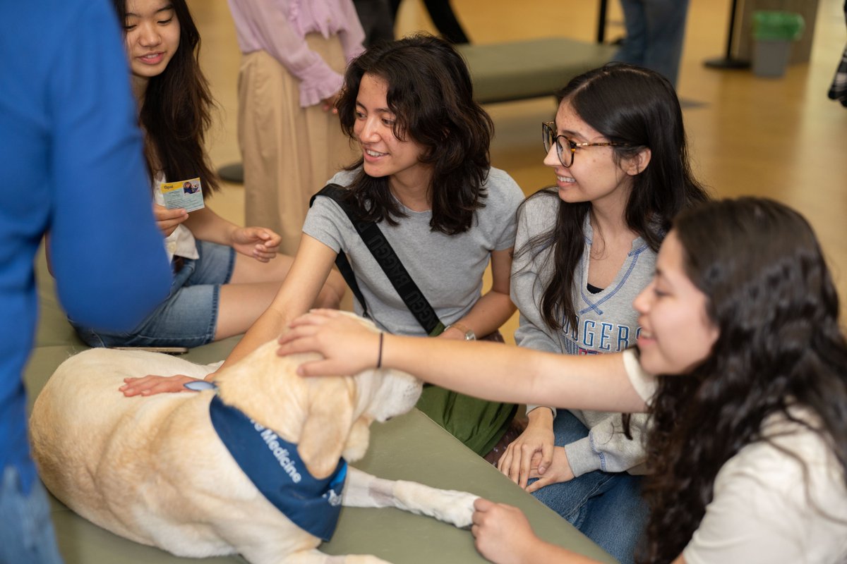 Julio Frenk (@uclachancellor) on Twitter photo Stopping by Charles E. Young Research Library (<a href="/UCLALibrary/">UCLA Library</a>) today to visit some amazing Bruins: the <a href="/UCLAHealth/">UCLA Health</a> People-Animal Connection therapy dogs helping students de-stress during finals. Stopping by Charles E. Young Research Library (<a href="/UCLALibrary/">UCLA Library</a>) today to visit some amazing Bruins: the <a href="/UCLAHealth/">UCLA Health</a> People-Animal Connection therapy dogs helping students de-stress during finals.