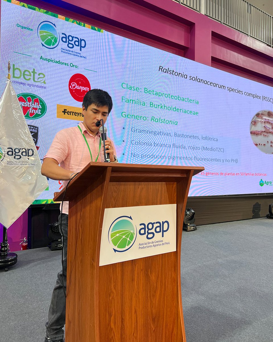 AGAP_PERU's tweet image. #PonenciaAGROFEST2025 | “Biología y estrategia de manejo de la marchitez bacteriana en jengibre”, presentado por José Soto - Docente del Departamento de Fitopatología en la Facultad de Agronomía de la Universidad Nacional Agraria La Molina - UNALM (@UNALM_online ).

#AGAP