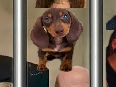 <a href="/marilongui/">m a r i l ú</a> Este chad cometió crímenes de guerra