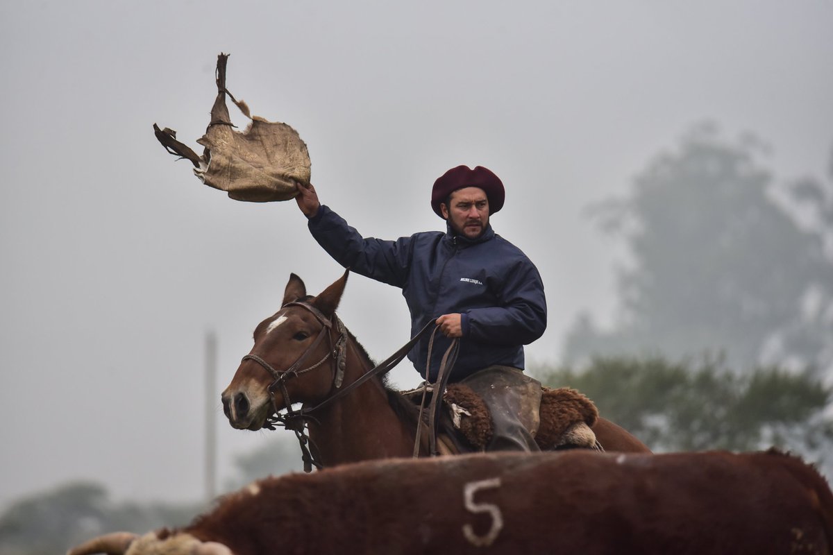 Estancia BUENA ESPERANZA 
Los Conquistadores (Entre Ríos)
