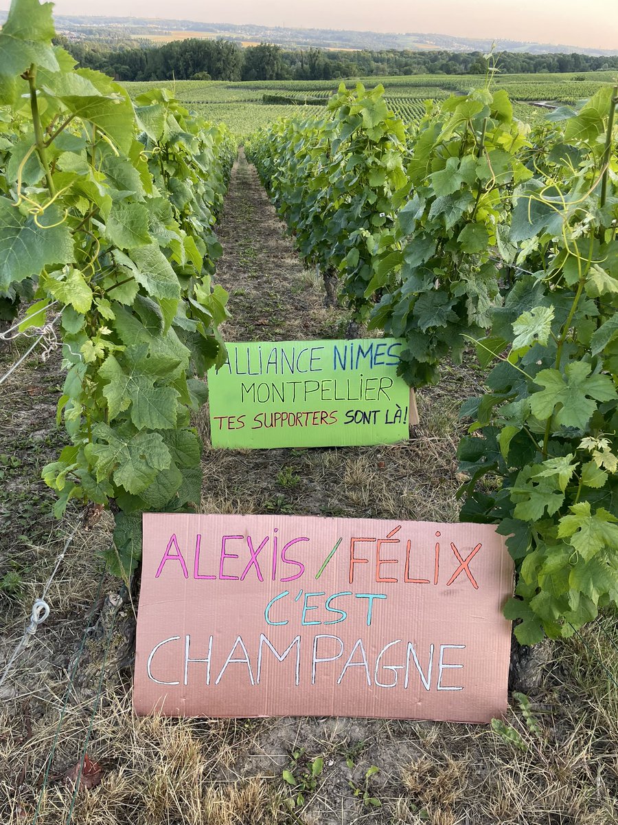uloue's tweet photo. @felixlebrun34 On est déjà prêt en Champagne 🍇 pour venir vous encourager 📣 à Rouen dans deux semaines et demi ⏳💪🏼🍾🥂 https://t.co/qWEhWmAKSD