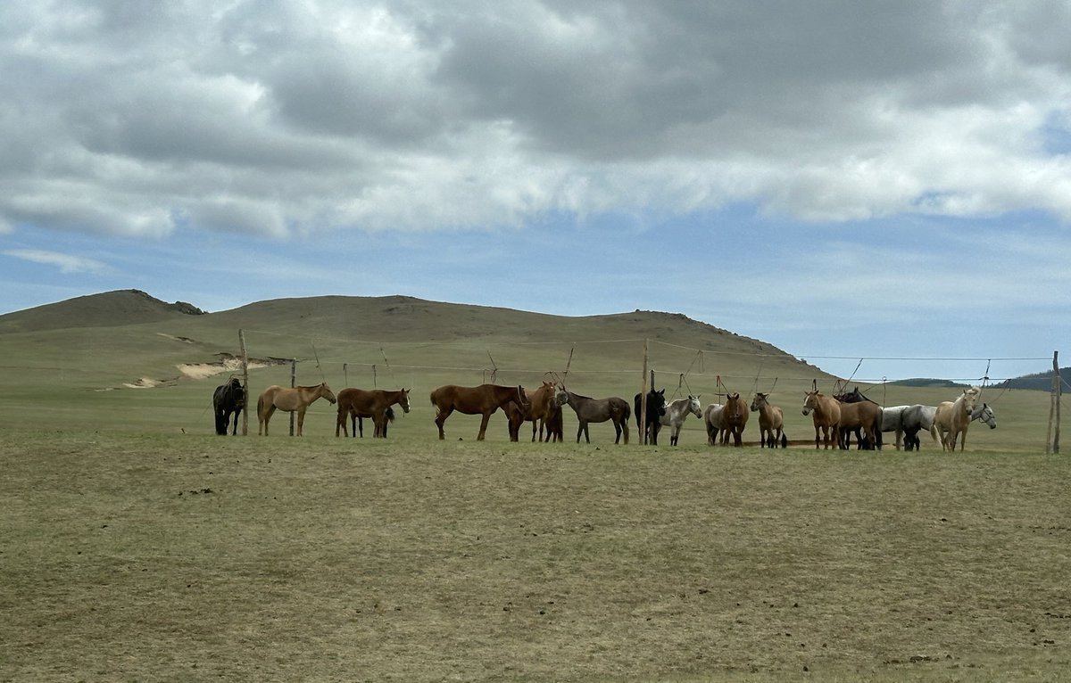 Өглөөний мэнд. 
Хөдөө гоё байна.🖤