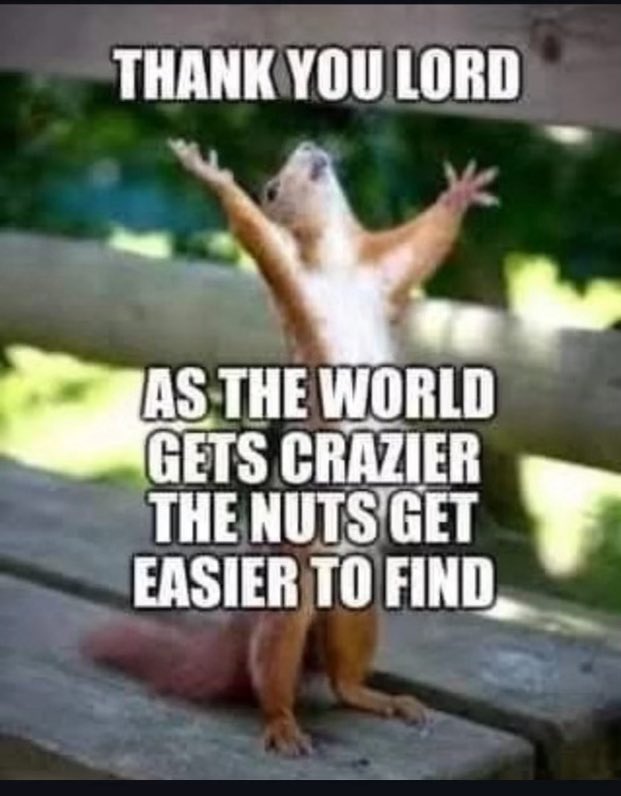 Ann Vandersteel™️ (@annvandersteel) on Twitter photo 