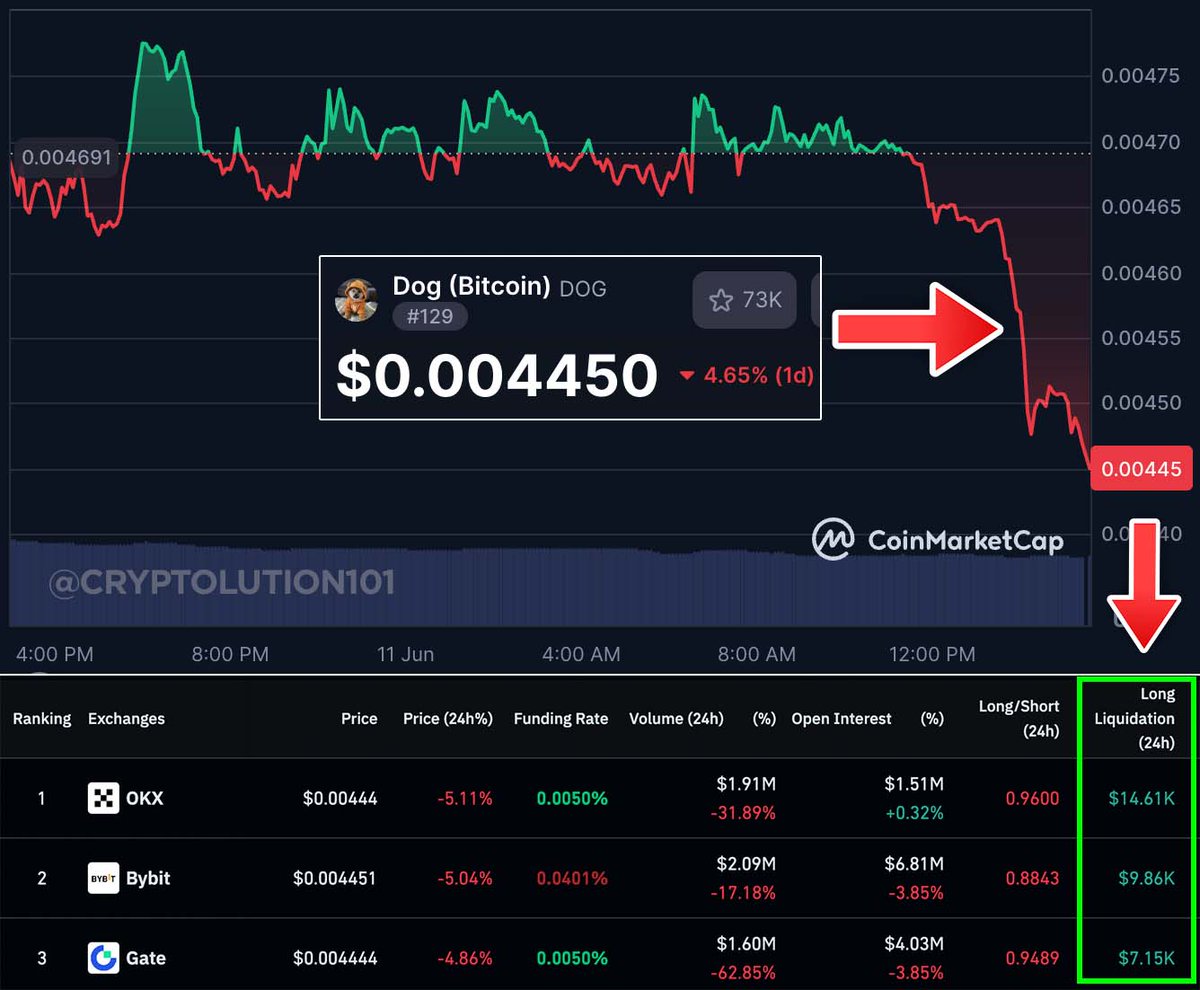 With major catalysts like @KrakenFX, Odin.Fun, and <a href="/SlingshotCrypto/">Slingshot</a> aligning this Rune June, the outlook for $DOG remains undeniably bullish. Yet, leverage traders exploit this momentum, opening shorts to trigger long liquidations and shake market confidence. The