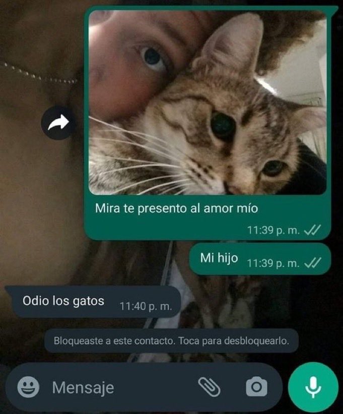 gente chamuyando (@gentechamuyando) on Twitter photo 