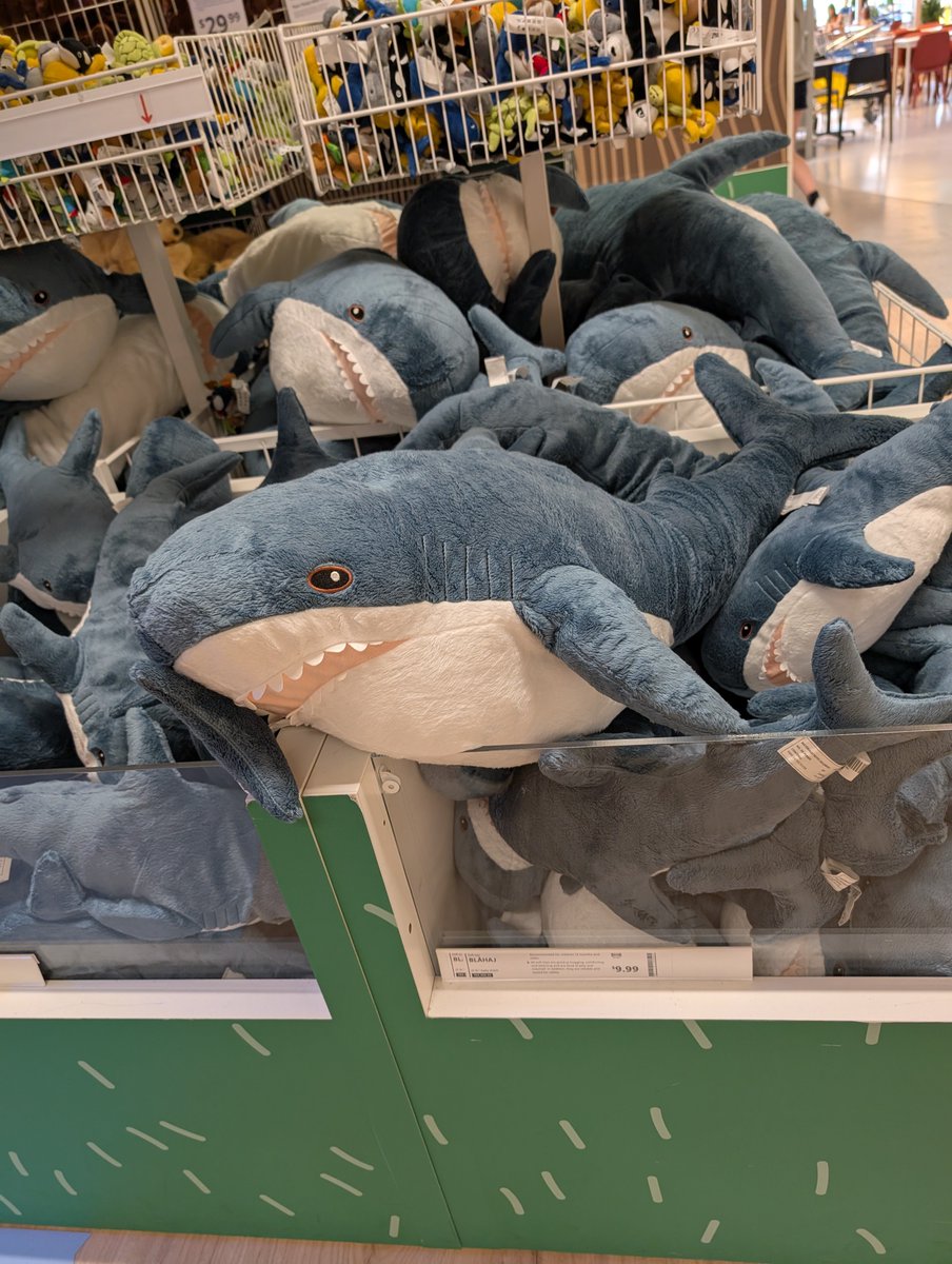 Heard all the hot girls love this guy