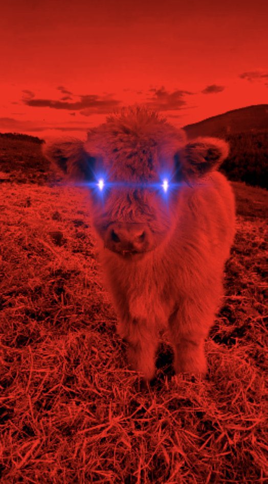 I’ve made more meaningful Web3 connections on <a href="/EclipseFND/">Eclipse (🐮,🌑)</a> than on any chain lately.

The energy is real.

The builders are active.

And the opportunities are just beginning.

TGE would just be day one.

Eclipse Summer is upon us.