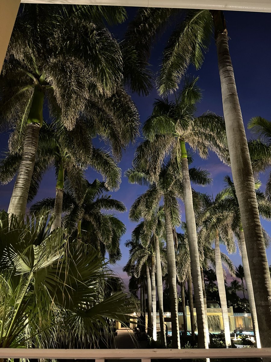 FSHS_Hort's tweet image. So many great memories made this past week at #FSHS2025! Thank you to everyone to came to the conference! Looking forward to #FSHS2026 in Jacksonville! Save the date! June 7 - 9, 2026 at the @Hyatt Regency Riverfront!