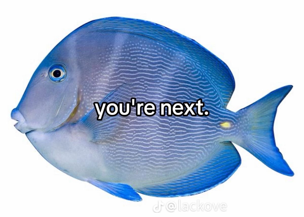 ExoticSeaweed's tweet photo. @nothinbutlag https://t.co/PDDTiehQ4e