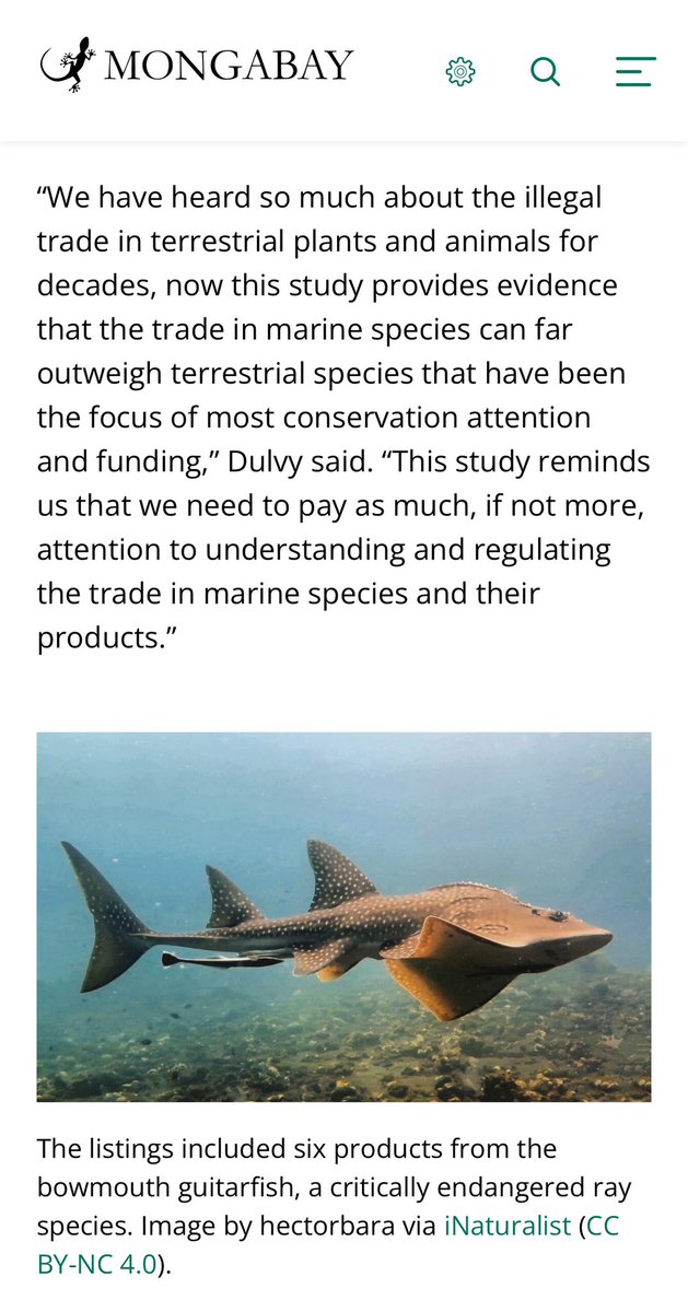“We have heard so much about the illegal trade in terrestrial [species]…. This study reminds us that we need to pay as much, if not more, attention to understanding and regulating the trade in marine species...”
<a href="/NickDulvy/">Nicholas Dulvy</a>

Fantastic coverage of our research in <a href="/mongabay/">Mongabay</a>: