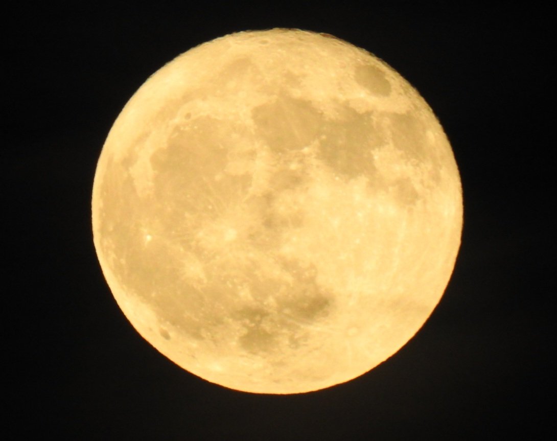 YoForestal tweet media