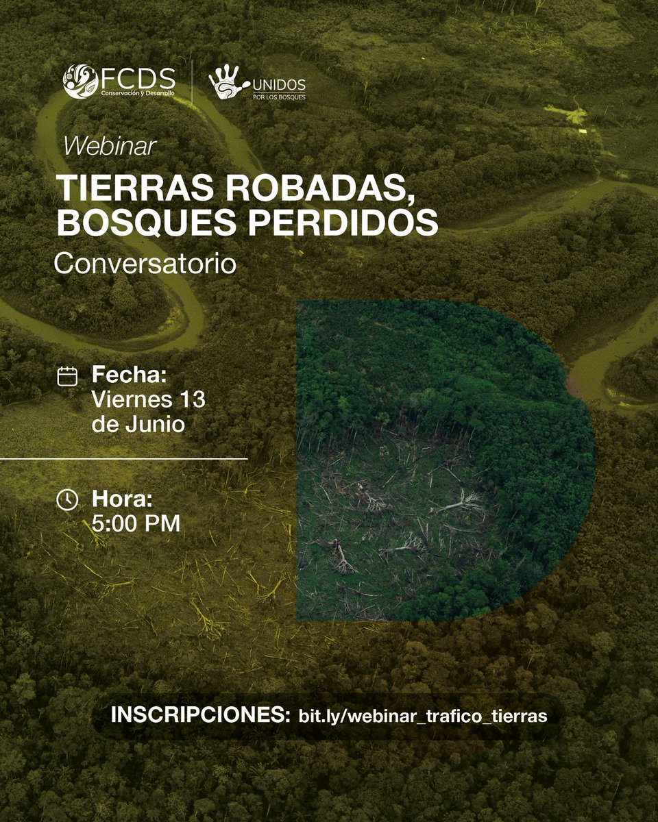 FCDS_Peru's tweet image. 📢El tráfico de tierras, la minería ilegal, la deforestación y los riesgos para las personas defensoras del ambiente están creciendo de manera alarmante en nuestra Amazonía, afectando nuestros bosques y biodiversidad. 

📄En el marco del proyecto &quot;Unidos por los Bosques&quot;, FCDS…