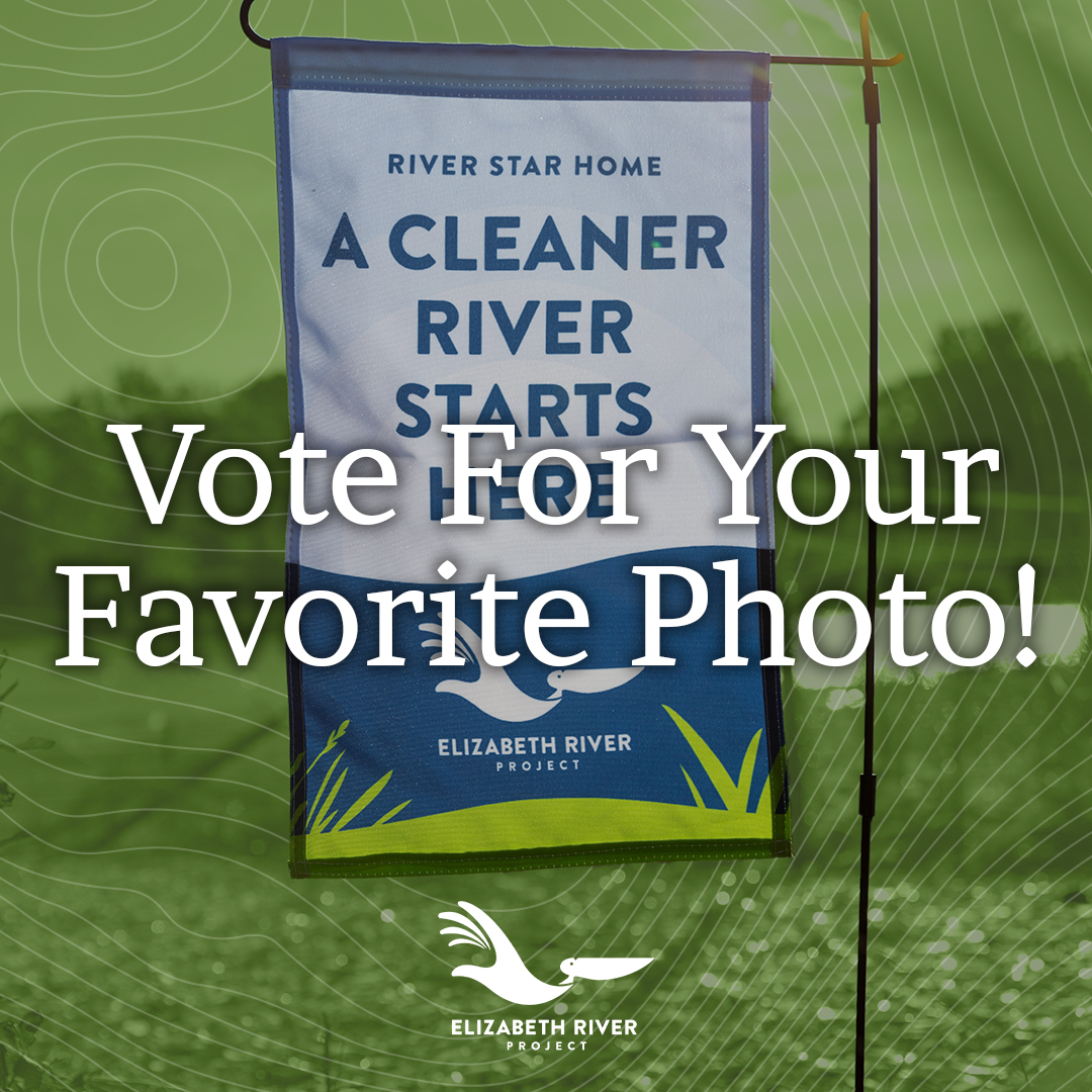 Cast your vote in our Flag Photo Contest! The winning photo will be featured in our newsletter &amp; the photographer will receive a free rain barrel to help take their river stewardship even further! 

Check out our photo submissions &amp; vote for your favorite: brnw.ch/21wTkDb