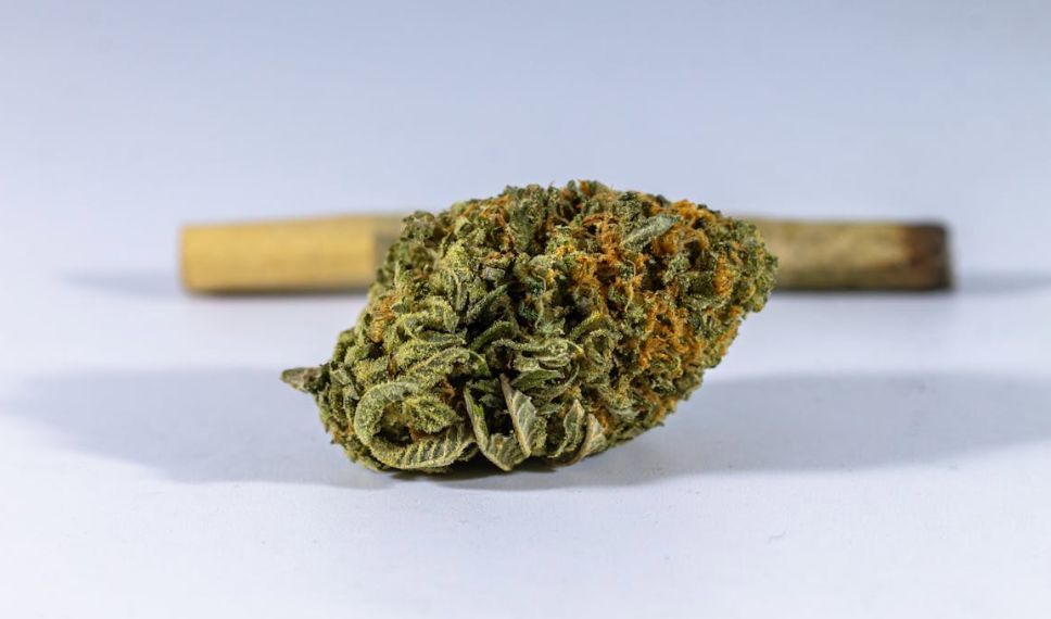 CannabisJrnl's tweet photo. Is the cannabis ""entourage effect"" fact or hype? 🌿 A 2024 review finds limited evidence supporting it as a stable, predictable phenomenon—more research needed before clinical claims.
🔗 https://t.co/jRdjBGGqbE
#CannabisResearch #EntourageEffect https://t.co/2BVYsywd8H