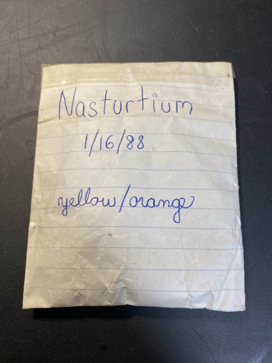 paultraverse's tweet photo. I packaged these seeds in a little seed pack I made with a sheet of paper and paper glue in 1988 when I was 16, 37 years ago.  Today I am soaking them to see if they will grow - and a few actually sank (that's a good thing!) https://t.co/fc8HEMH0Oe