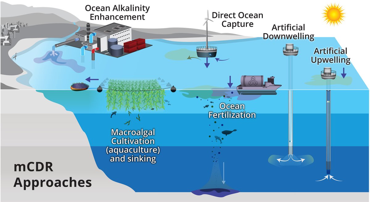 Congratulations to our graduate student Jennifer Jordan on the publication of her policy memo on #mcdr removal risks in @scipoljournal.

Story: science.gmu.edu/news/marine-ca…

Article: sciencepolicyjournal.org/article_103812…

📷: Image credit: PMEL/NOAA