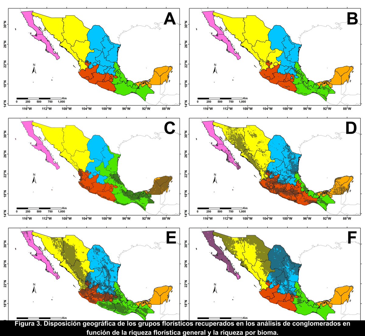 Se evaluaron las especies de plantas nativas registradas en los 32 estados de México para identificar y comparar sus valores de riqueza florística. Se observa una congruencia entre la proximidad geográfica y su similitud florística. Leer más: revista.ib.unam.mx/index.php/bio/…