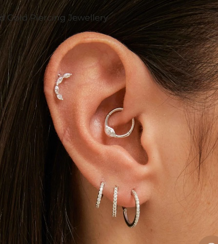 imzelfish's tweet photo. I just received Astrid and Miyu Daith Earring from H via Throne. Thank you! https://t.co/bGpJPxIheH #Wishlist #Throne https://t.co/hDHt80axcP