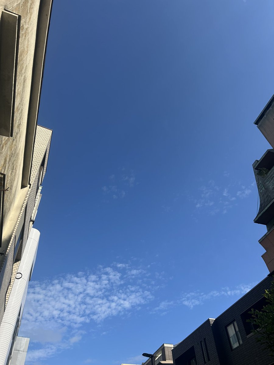 いい天気