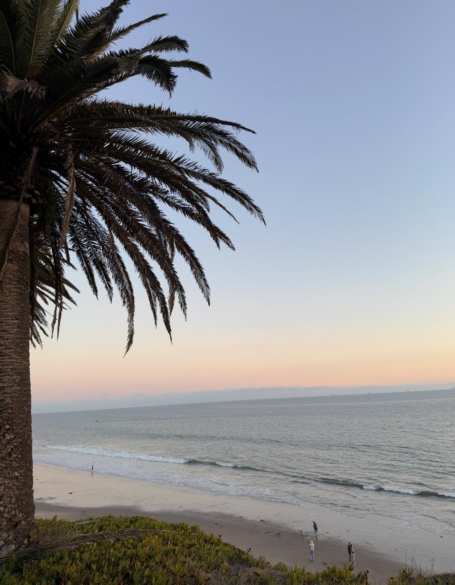 ravinapatellll's tweet image. sf accessibility is unmatched