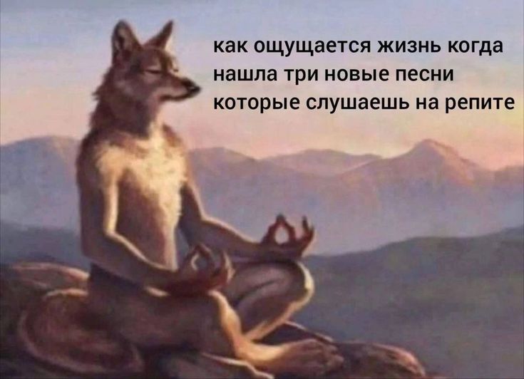 👑🌽Царь кукурузы🌽👑 (@kukuruzaleon) on Twitter photo 