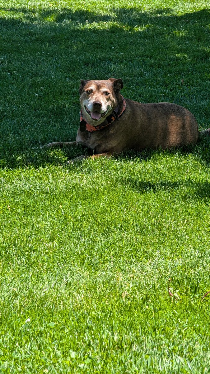 Work sucks so I left early and took Faye to the park.