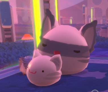 n1choEX's tweet image. my cat rancho
#slimerancher