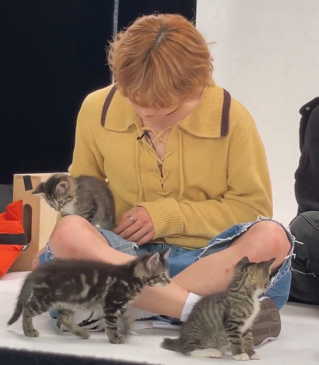 لارِيي 𓏲ּ𝄢 tweet media