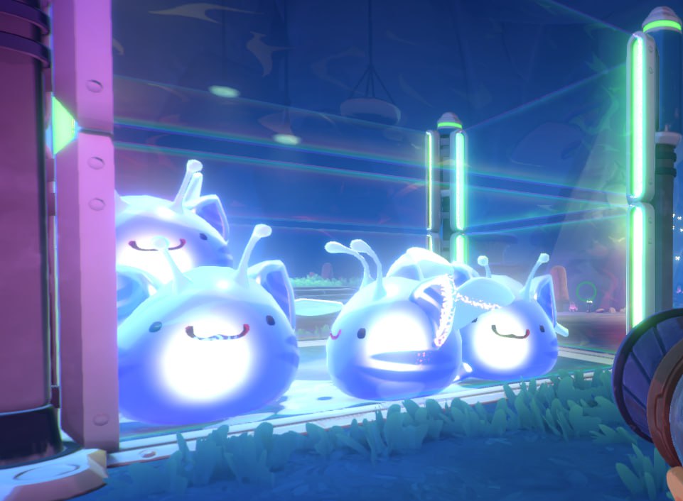 n1choEX's tweet image. my cat rancho
#slimerancher