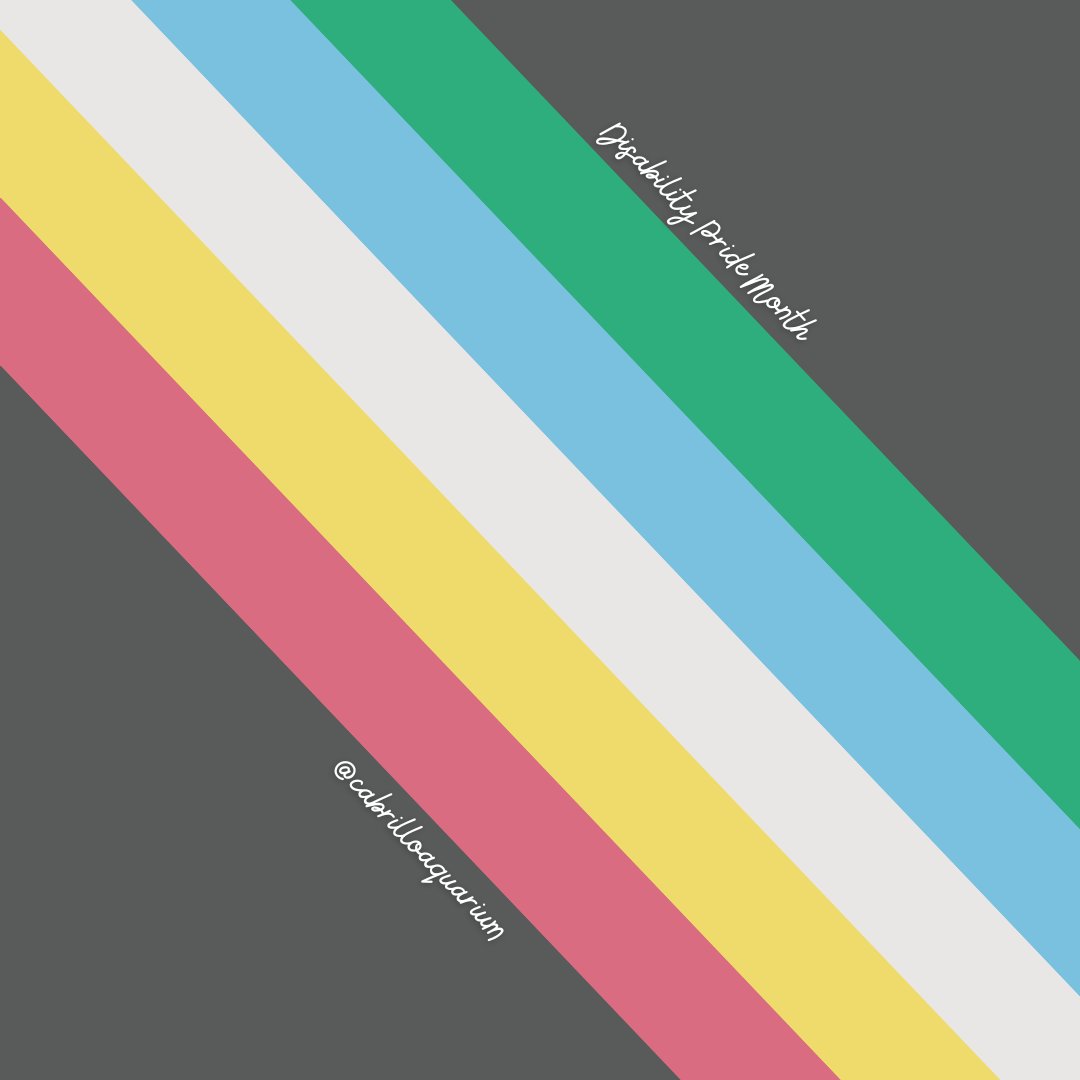 July is #DisabilityPrideMonth—a time to celebrate the history, achievements, and experiences of the disability community. This flag, created by Ann Magill (who has Cerebral Palsy), is a symbol of pride, solidarity, and acceptance. 💙♿