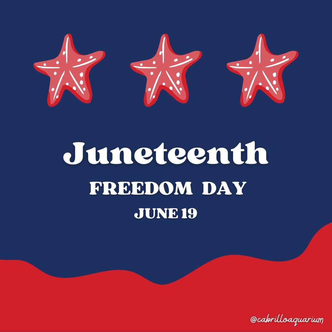 In 2021, Juneteenth became a federal holiday. Join us in commemorating this day in 1865 when 250,000 slaves in Texas were declared free by the U.S Army! This day stands as a tribute to the ideals of freedom and equality.