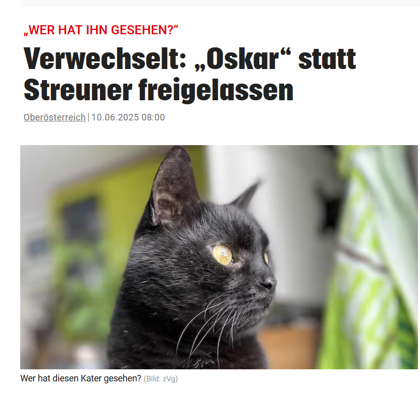 tsuniko_'s tweet photo. https://t.co/CLM0a6VzZa ich bin so fucking sad bro https://t.co/NPRrOjpU69