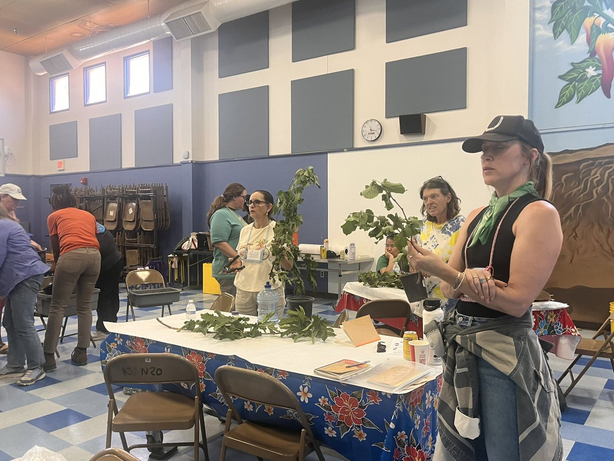 Teachers were learning about soil mixing, irrigation, companion planting, cloning, and composting today! Thanks to <a href="/TEPenergy/">TEP</a> for investing in our teachers by sponsoring Day 2 of the #STEMAZing Summer Institute Garden strand.