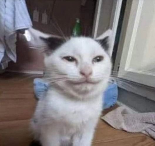 kriowo's tweet image. yea yea summers are hot and all that jazz, but try a 90 degree day in a room with no vents, 1 small window ac, and a fucking oven that is a pc with a 4090 running full blast.... my room is hotter than it is outside
