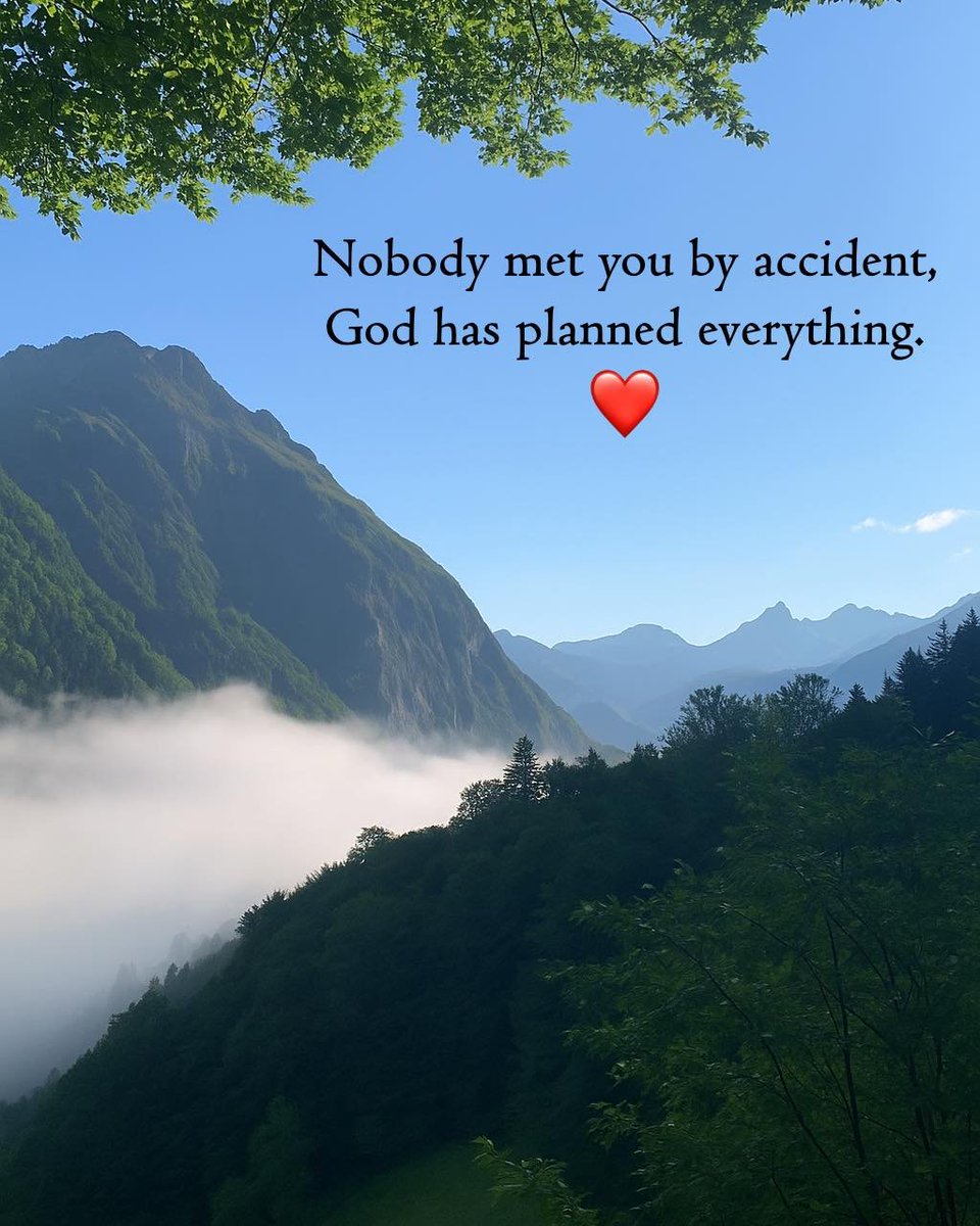 Mind Essentials (@mind_essentials) on Twitter photo 