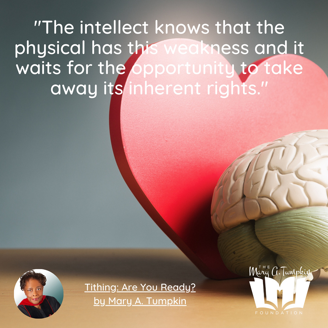 Mary A. Tumpkin Foundation tweet media