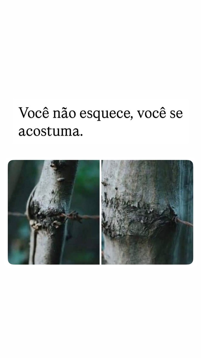 Frases (@umfilosofocitou) on Twitter photo 