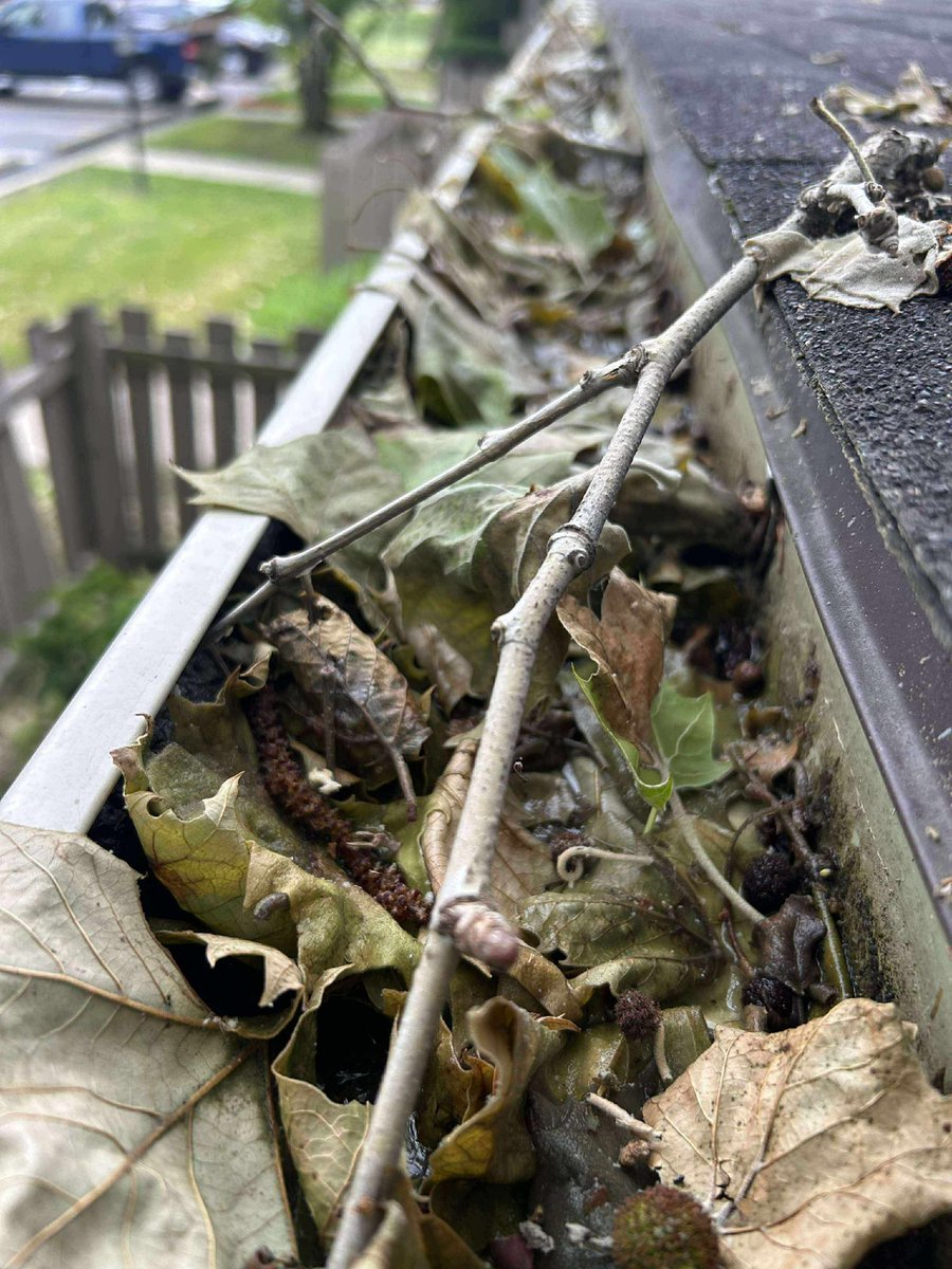 GutterDetroit's tweet image. midwestguttercleaning.com