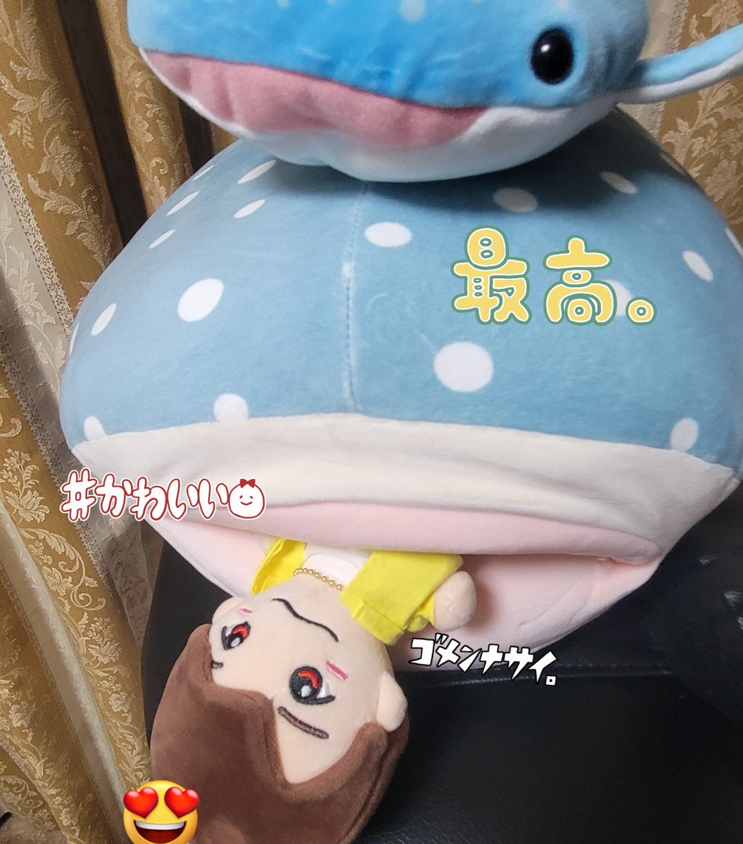 なにわ男子　西畑大吾　ギラギラサマー　服　はぴぬい なにわ男子 西畑大吾 ギラギラサマー MV風 衣装 服 はぴぬい なにわ