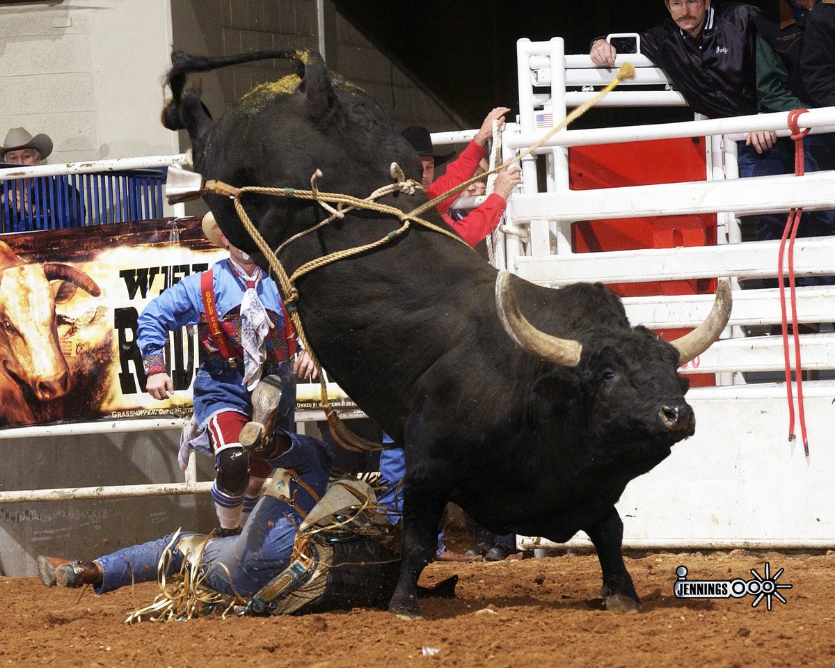 badcorodeo's tweet image. Skoals  Hammer Time was selected to the NFR 6x (1999-2004) and a Top 3 PRCA  Bucking Bull along with a Texas Circuit Bull of the Year.  Here he is at  the Texas Circuit Finals in Waco, TX. @jenningsrodeophotography