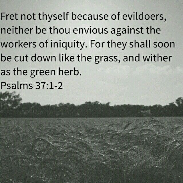 Allow God to supply your needs. Man can take you to; but God can take you through!
