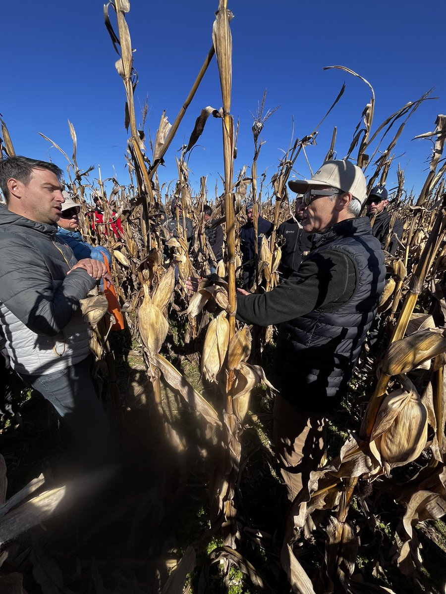 Gustavomaddonni's tweet image. Reunión de campo organizada por Agropecuaria Cano. Rico intercambio con técnicos del N de Córdoba. Planteos defensivos basados en bajas densidades cambios del arreglo espacial y genética. Gracias Tomás Campodonico y Sebastián Lattanzi por convocarme