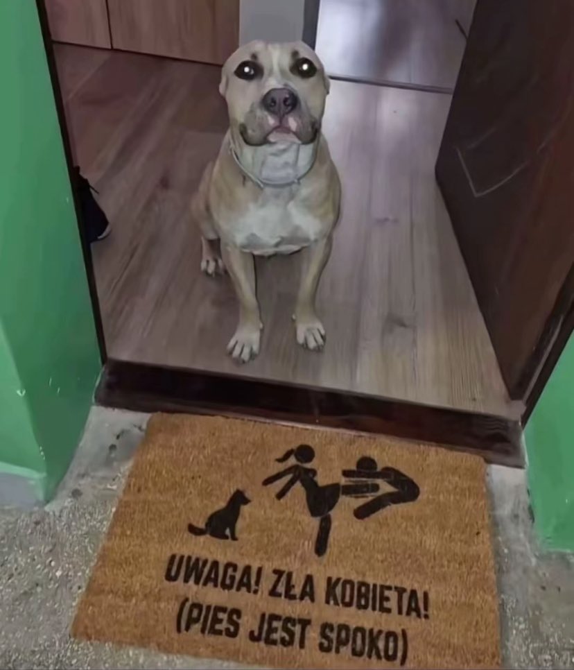 kuzyn od jebanka (@_xsyzrk08) on Twitter photo 