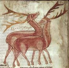 balletdoe's tweet photo. niche research topic of the day: the symbolism of deer in christian art https://t.co/4vniXH0eDn