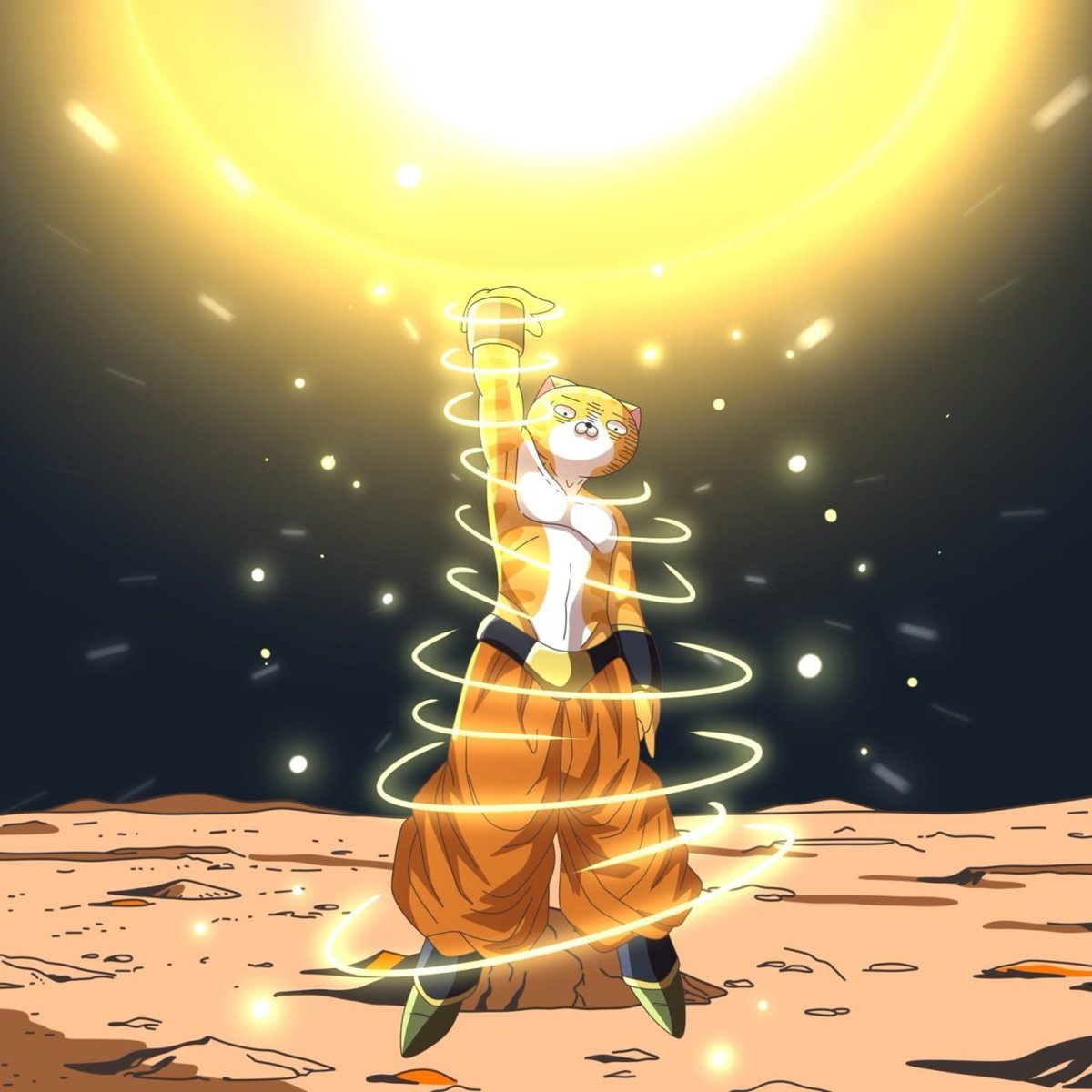 lanlancoin 🍊 🐱 tweet media