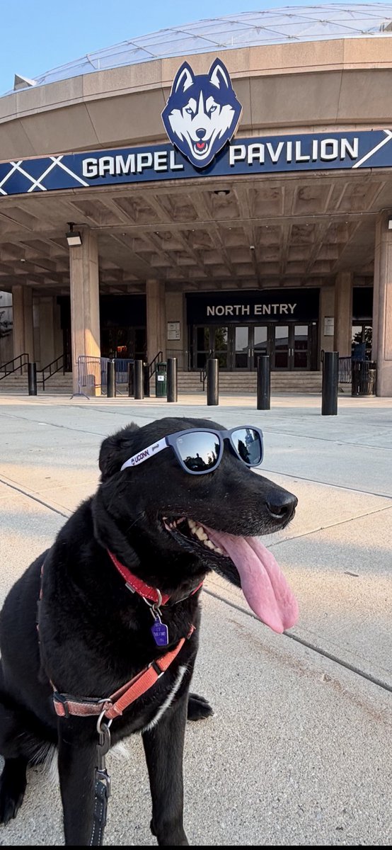 Who wore the #UConn <a href="/goodr/">goodr</a> glasses better? UConnMeg or UConnMaisie?