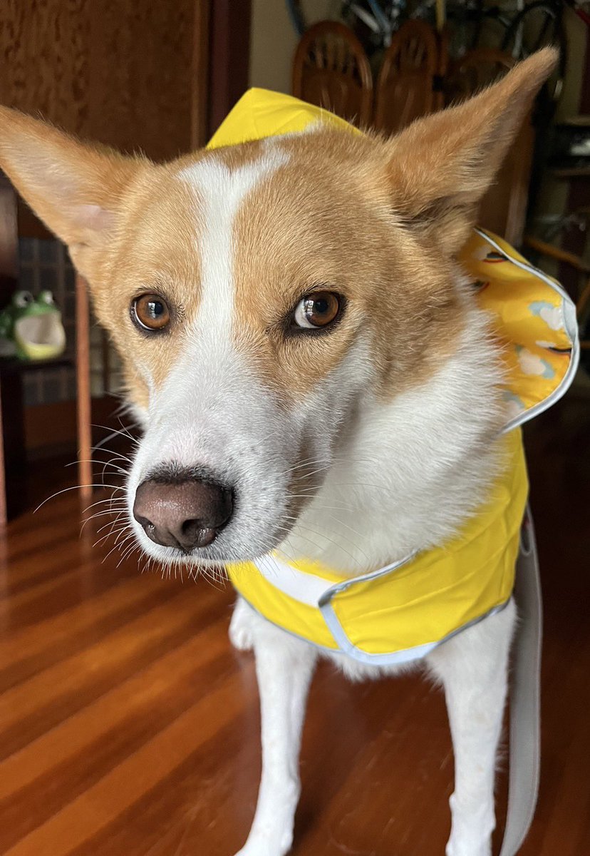 inullnuit (@inullnuit) on Twitter photo 