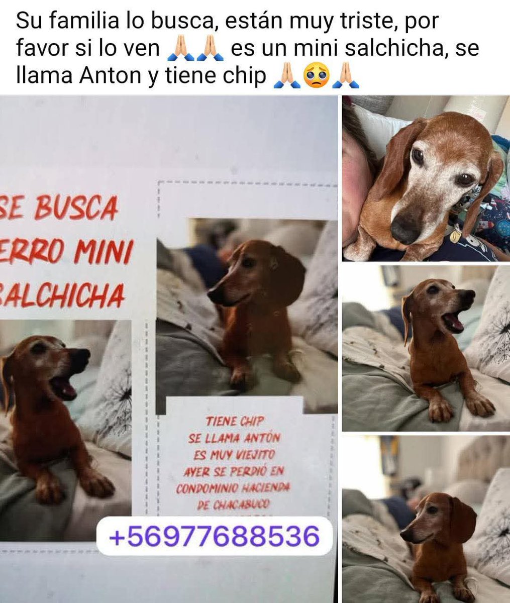 LORE TIN tweet media