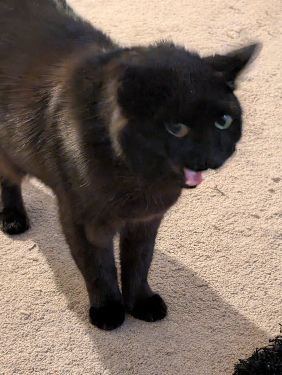 "im ask'd chad gbt"
"i askt gonk" 
okey wel i ask gog and she say's the gates of haven will not open for yuo becaus yuor a pathetick freek !!! 
🅰️🅰️🅰️🅰️🅰️🅰️🅰️🅰️🅰️🅰️🅰️🅰️