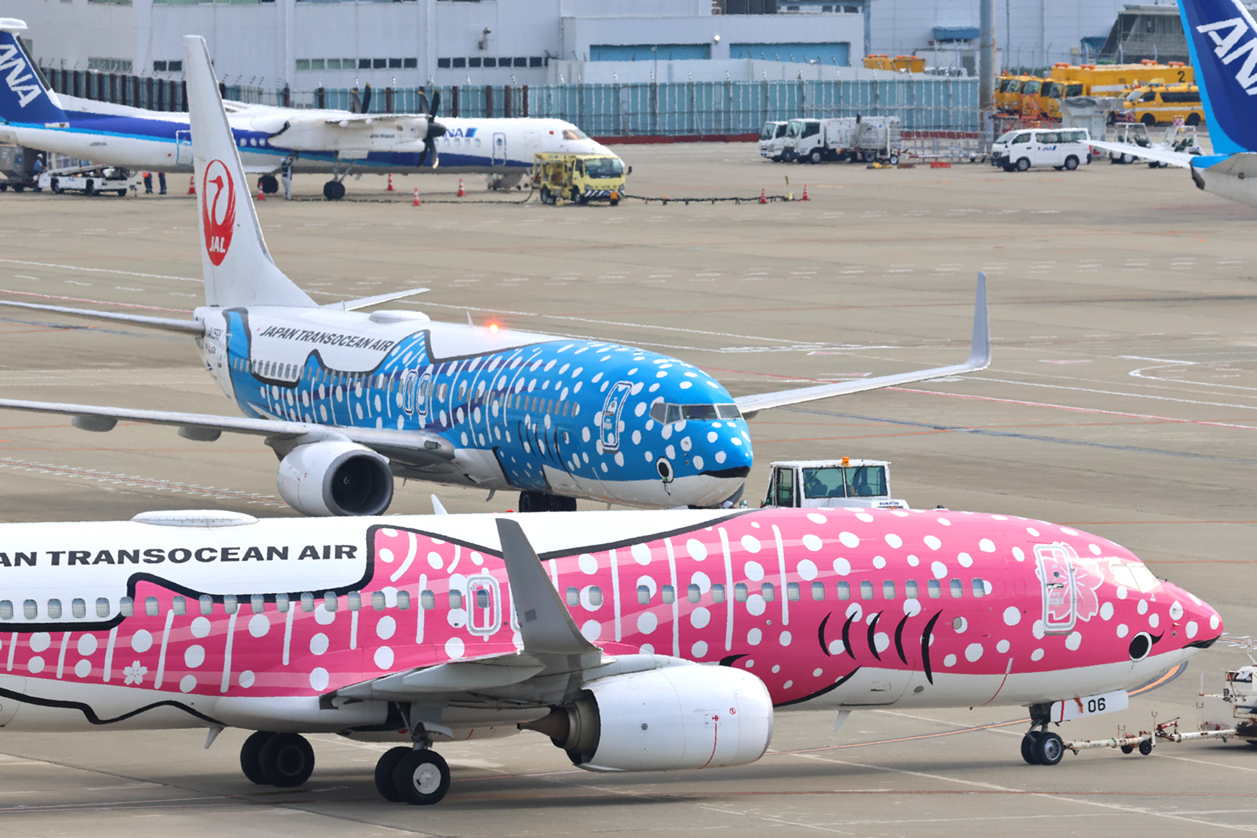ジェーン様用9 中部国際空港セントレア on X: 